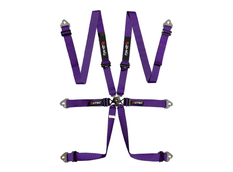 L-Tec Endurance 6-Punkt-Gurt - FIA 8853-2016 Homologation