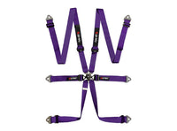 L-Tec Endurance 6-Punkt-Gurt - FIA 8853-2016 Homologation