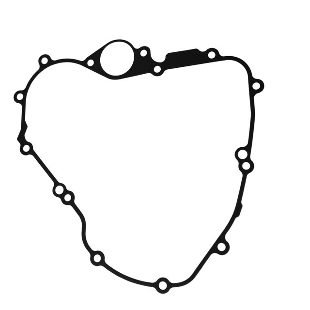 Lichtmaschinendichtung MT09